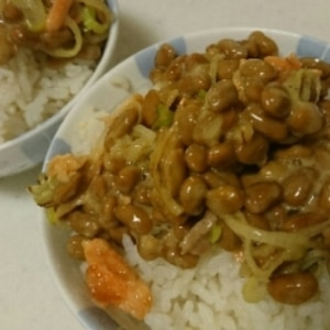 納豆と鮭フレークのご飯